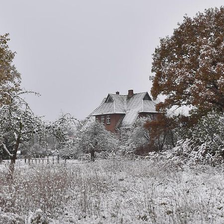Ferienwohnung Ehemalige Revierfoersterei "Uns Luett" Kuhstorf Zewnętrze zdjęcie