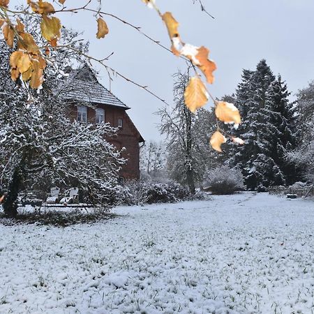 Ferienwohnung Ehemalige Revierfoersterei "Uns Luett" Kuhstorf Zewnętrze zdjęcie